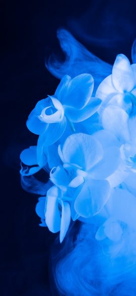 快吧 App 首页在深色背景下的入口排列，底部导航清晰可见，手机竖屏界面